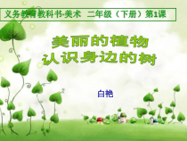 美术【人美版】（杨力）二年级下册《1.美丽的植物》PPT课件3