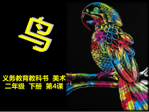 美术【人美版】（杨力）二年级下册《4.漂亮的鸟》PPT课件4(1)