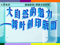 美术【人美版】（杨力）二年级下册《综合练习》PPT课件1(1)
