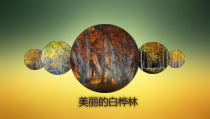 美术【人美版】（杨力）三年级下册《白桦林》PPT课件1(1)