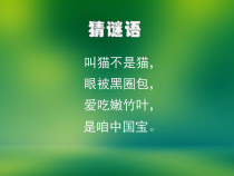 美术【人美版】（杨力）四年级下册《第6课 中国画——学画大熊猫》PPT课件6(1)