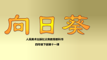 美术【人美版】（杨力）四年级下册《第11课 向日葵》PPT课件1(1)
