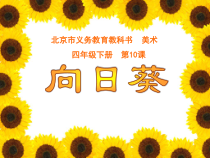 美术【人美版】（杨力）四年级下册《第11课 向日葵》PPT课件4(1)
