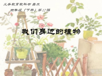 美术【人美版】（杨力）四年级下册《第12课 我们身边的植物》PPT课件1