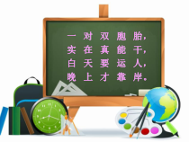美术【人美版】（杨力）五年级上册《6. 我设计的鞋》PPT课件3