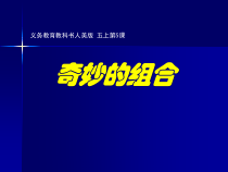 美术【人美版】（杨力）五年级上册《5. 奇妙的组合》PPT课件1