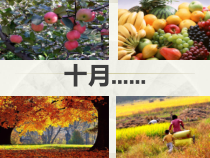 美术【人美版】（杨力）五年级上册《17. 蔬果白描》PPT课件1