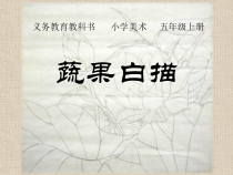 美术【人美版】（杨力）五年级上册《17. 蔬果白描》PPT课件2(1)