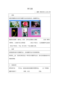 美术【人美版】（杨力）五年级下册《5. 摄影——美丽的花》学习单3