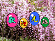 《22.3 三角形的中位线》PPT课件2-八年级下册数学冀教版