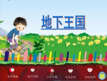 美术【湘美版】一年级下册《17. 地下王国》PPT课件1(1)