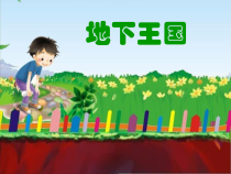 美术【湘美版】一年级下册《17. 地下王国》PPT课4(1)