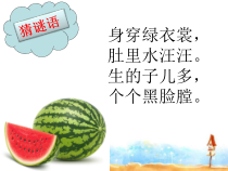 美术【湘美版】二年级上册《5. 瓜果飘香》PPT课件3