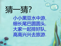 美术【湘美版】二年级上册《10. 小蝌蚪》PPT课件1(1)