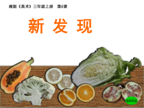 美术【湘美版】三年级上册《6. 新发现》PPT课件4(1)