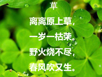 美术【湘美版】四年级上册《5. 草丛中》PPT课件1