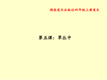 美术【湘美版】四年级上册《5. 草丛中》PPT课件2