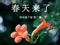 美术【湘美版】四年级下册《3. 春天来了》PPT课件2