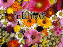 美术【湘美版】四年级下册《6. 花团锦簇》PPT课件3