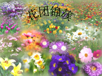 美术【湘美版】四年级下册《6. 花团锦簇》PPT课件2(1)
