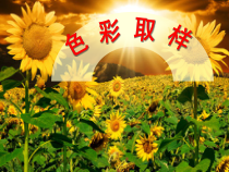 美术【湘美版】四年级下册《12. 色彩取样》PPT课件4