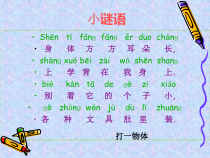 美术【湘美版】五年级下册《4. 书包》PPT课件3