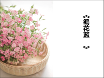 美术【湘美版】六年级上册《4. 编花篮》PPT课件7(1)