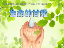 美术【湘美版】六年级上册《9. 生命的甘露》PPT课件1(1)