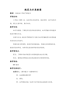 美术【湘美版】六年级下册《5. 瓶花与水果》教学设计2