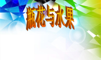 美术【湘美版】六年级下册《5. 瓶花与水果》PPT课件1(1)