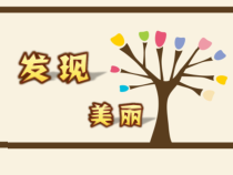 美术【湘美版】六年级下册《8. 发现美丽》PPT课件2(1)