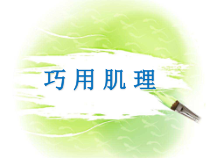 美术【湘美版】六年级下册《10. 巧用肌理》PPT课件2