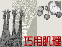 美术【湘美版】六年级下册《10. 巧用肌理》PPT课件5(1)