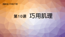 美术【湘美版】六年级下册《10. 巧用肌理》PPT课件6