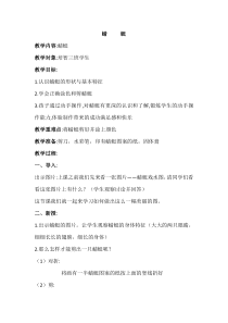 美术【浙人美版】一年级下册《19 奇妙的昆虫》教学设计3
