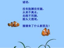 美术【浙人美版】一年级下册《15 热带鱼乐园》PPT课件1