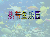美术【浙人美版】一年级下册《15 热带鱼乐园》PPT课件4(1)