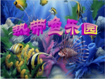 美术【浙人美版】一年级下册《15 热带鱼乐园》PPT课件5