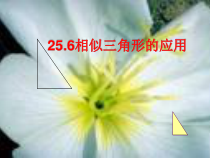 《25.6 相似三角形的应用》PPT课件2-九年级上册数学冀教版