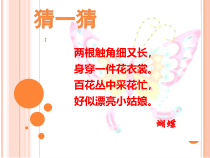 美术【浙人美版】二年级下册《5 折剪蝴蝶》PPT课件3
