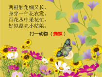 美术【浙人美版】二年级下册《5 折剪蝴蝶》PPT课件4(1)
