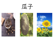 美术【浙人美版】二年级下册《15 向日葵》PPT课件5(1)