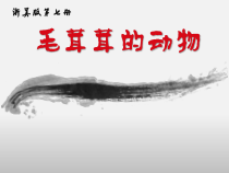 美术【浙人美版】四年级上册《9 毛茸茸的动物》PPT课件3(1)