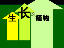 美术【浙人美版】四年级下册《7 生长的植物》PPT课件4