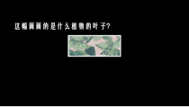美术【浙人美版】五年级上册《4 好看的装饰画》PPT课件1(1)