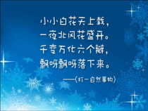 美术【浙人美版】五年级下册《4 剪纹样》PPT课件2(1)