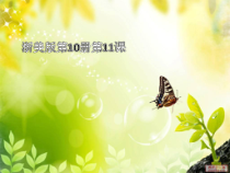美术【浙人美版】五年级下册《11 植物写生》PPT课件1(1)