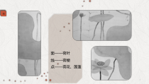 美术【浙人美版】五年级下册《18 映日荷花别样红》PPT课件3(1)