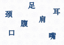 美术【浙人美版】六年级下册《11 青花瓷》PPT课件10(1)