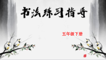 小学书法【苏少版】五年级下册《11 全包围的字》PPT课件1